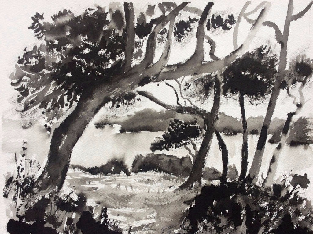 Encre de Chine 35x28 cm Le Sud